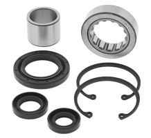 Kit de Rolamento Agulha da Primária + Vedações - Dyna / Softail / Touring 1989 à 2006 - All Balls