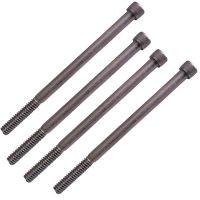 Kit 4 Parafusos da Tampa da Primária - Dyna 06 à 17 / Softail 07 à 17 / Touring 17 à 26